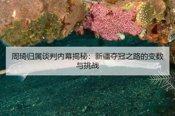 zhou-qi-gui-shu-tan-pan-nei-mu-jie-mi-xin-jiang-duo-guan-zhi-lu-de-bian-shu-yu-tiao-zhan-2-328.jpg