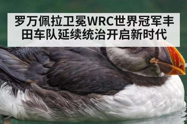 罗万佩拉卫冕WRC世界冠军丰田车队延续统治开启新时代